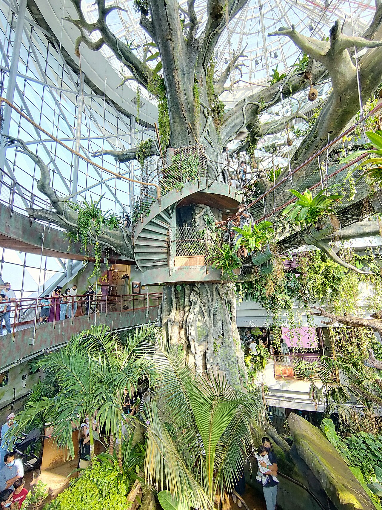 The Green Planet, City Walk, Dubaï — This is a picture of the tree present inside The Green Planet, Dubai ( United Arab…